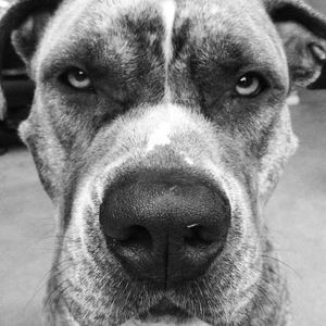 Meet your Posher, Dustin